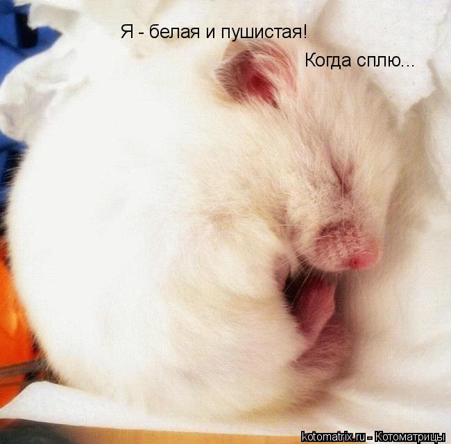 4743317_Xk (650x641, 49Kb)