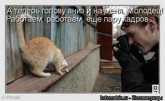 4743317_uH (550x339, 39Kb)