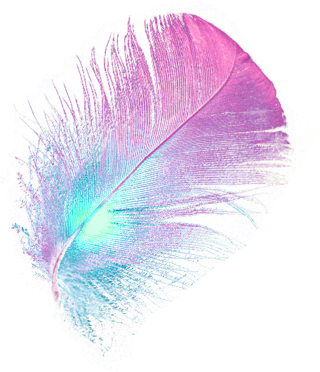 68418155_1293461076_03 (456x530, 556Kb)