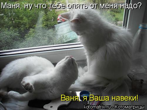 4743317_v (500x375, 35Kb)