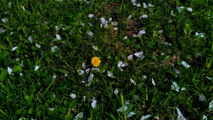 0004 (700x393, 286Kb)