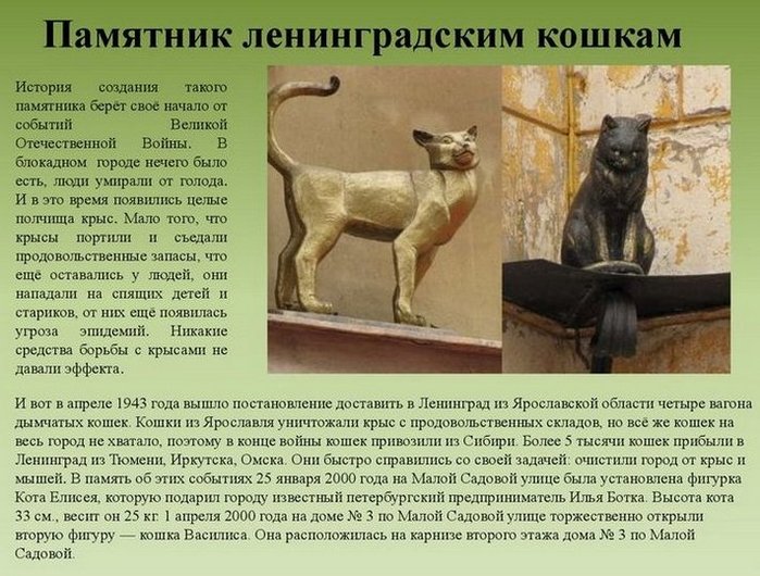3109898_pam__sadovoi_1_ (700x530, 104Kb)