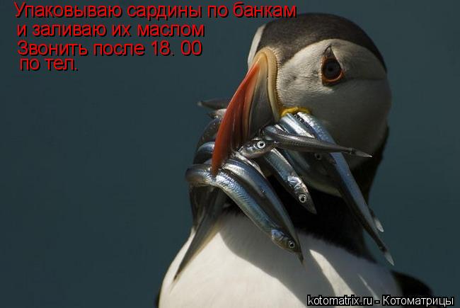 4743317_my (650x435, 29Kb)