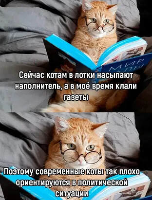 4743317_i_2_jpegyka (312x411, 57Kb)