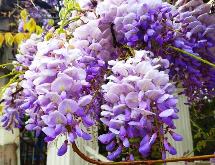 3404189_IMG_20230509_214948 (700x537, 349Kb)