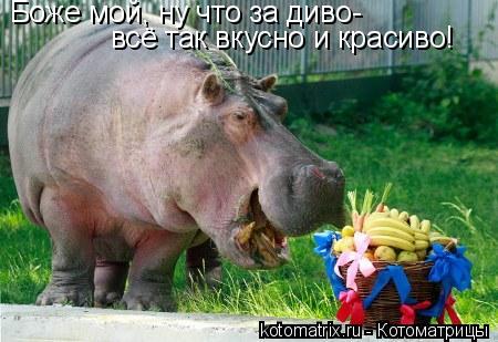 4743317_4n (450x309, 34Kb)