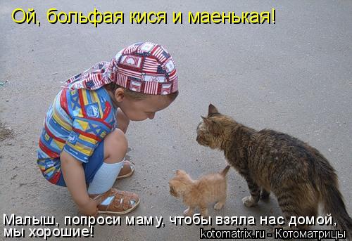 4743317_5q (500x343, 39Kb)
