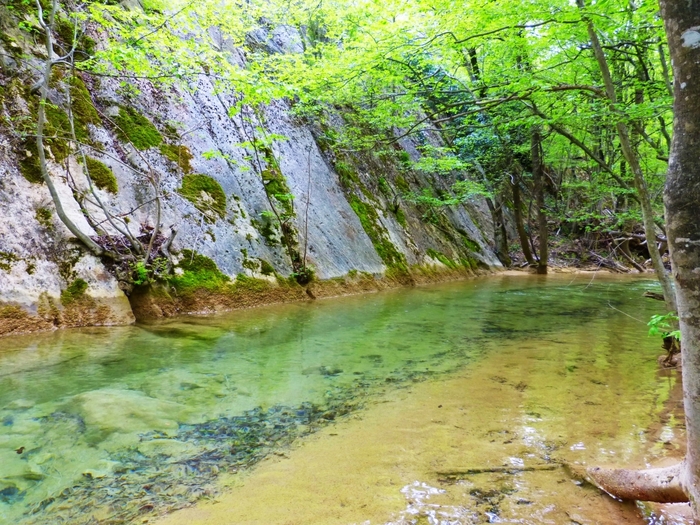 3404189_IMG_20230513_141609 (700x525, 382Kb)