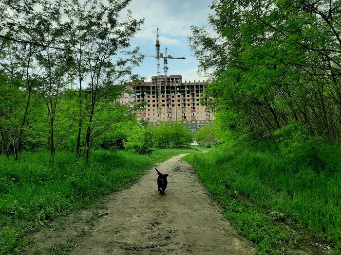 Вересаево