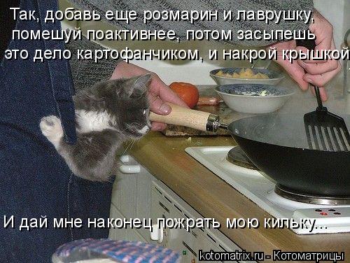 4743317_3_ (500x376, 55Kb)
