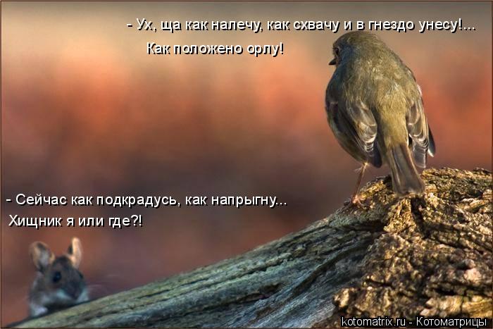 4743317_9u (700x467, 53Kb)