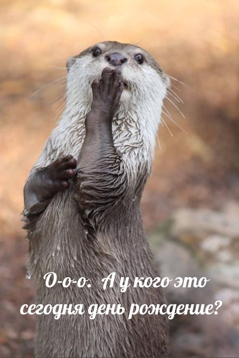 ewalls_ru_9261 (566x800, 195Kb)