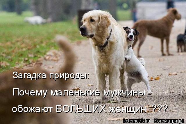 4743317_AB (640x426, 55Kb)
