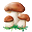 mushrooms_icon (32x32, 2Kb)