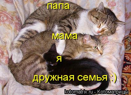 4743317_6U (425x310, 38Kb)