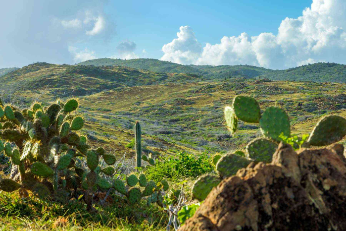 aruba-green-hills-ARUBAVR0420-e82de5d0645348a086939ede46168736 (700x466, 436Kb)