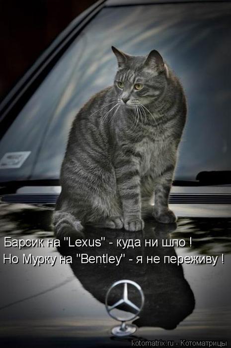 4743317_yk (465x700, 41Kb)