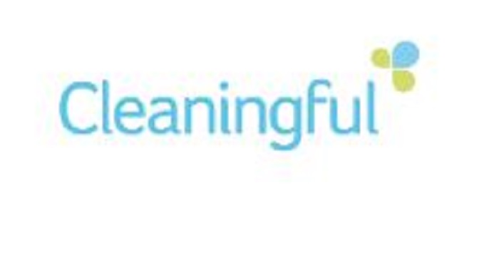 7419180_cleaningful (700x361, 24Kb)