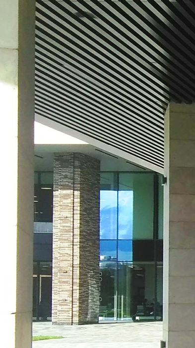 _2023-05-29_225658542 (393x700, 461Kb)