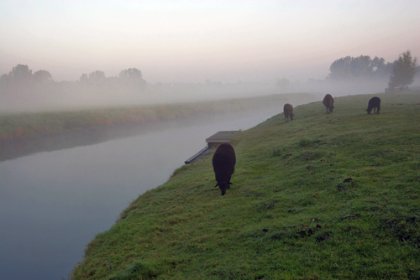 4743317_1142017668_1069 (420x280, 15Kb)