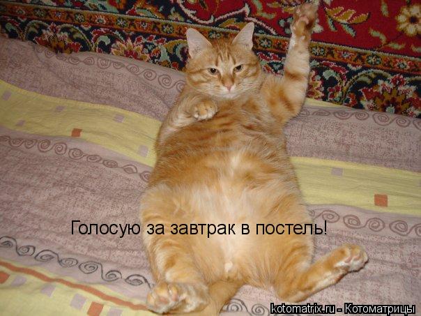 4743317_D (604x453, 57Kb)