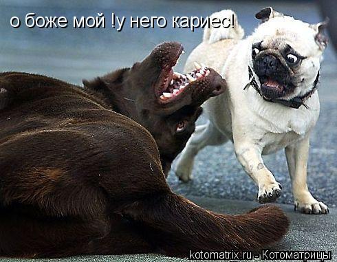 4743317_j9 (490x381, 41Kb)