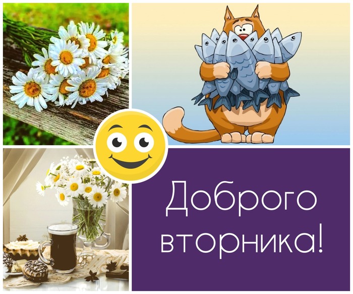 Доброго Вторника Друзья Картинки