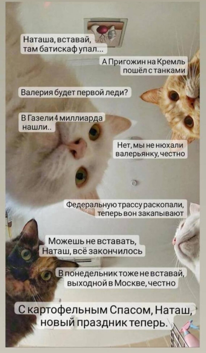 6967751_original (409x700, 230Kb)