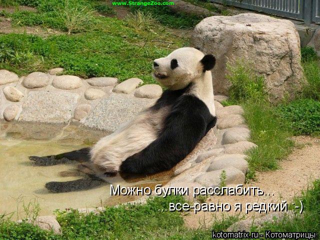 4743317_Q (640x480, 94Kb)