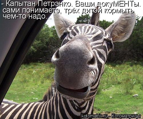 4743317_uB (500x415, 57Kb)