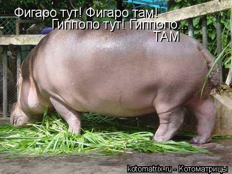 4743317_Ww (477x358, 39Kb)