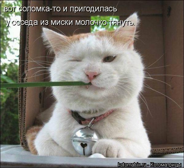 4743317_mI (600x547, 53Kb)