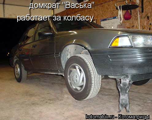4743317_1F (495x393, 34Kb)