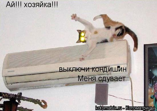 4743317_ll (550x389, 32Kb)