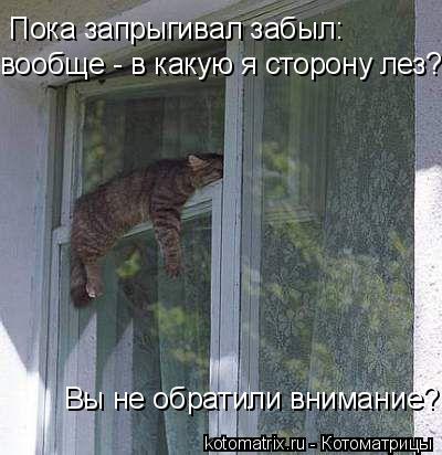 4743317_JF (400x412, 35Kb)