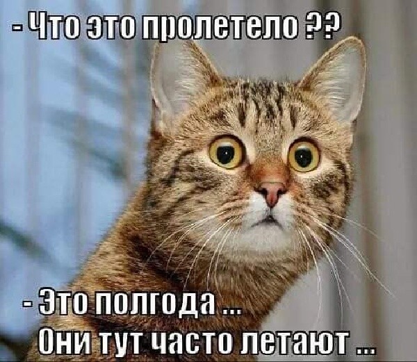 4743317_image20230705_14_57_14 (600x521, 98Kb)