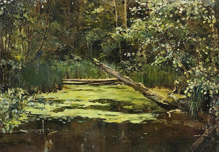 5402287_xudozhnik_Ilya_Ostrouxov_07 (700x486, 193Kb)