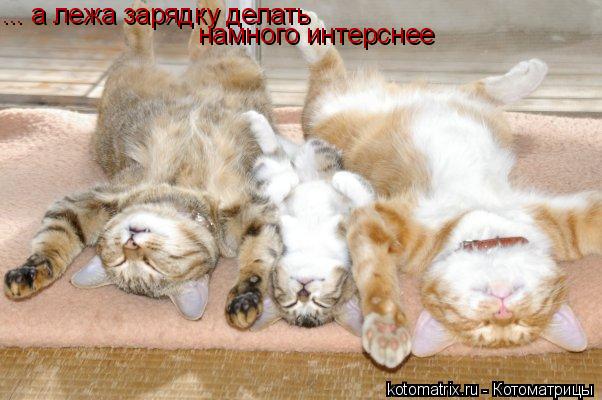 4743317_DD (602x400, 46Kb)