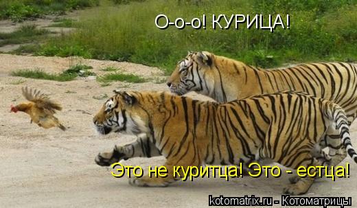 4743317_4jV (520x303, 38Kb)