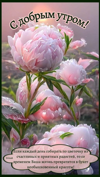 IMG-2fe1b54c5f55afaece218ef3d8f1b13f-V (393x700, 88Kb)