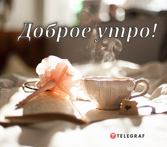 0aaf6369ac7282fa5f03fe5b9d428717 (700x614, 295Kb)