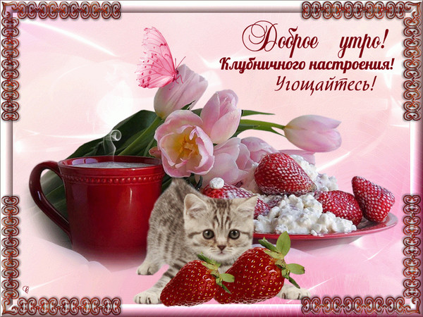 4743317_i38956 (600x450, 129Kb)