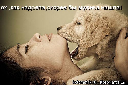 4743317_cm (500x333, 34Kb)