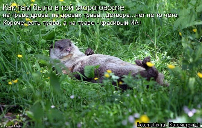 4743317_7x (675x430, 71Kb)