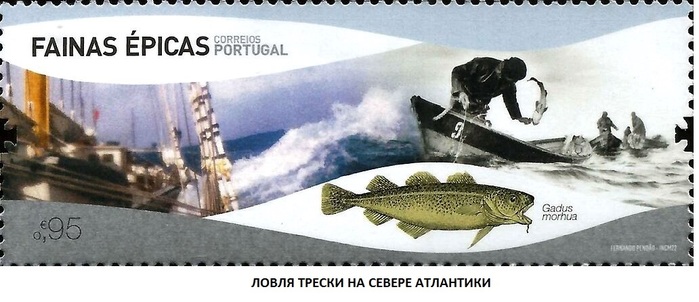 Cod-Fishing-in-the-North-Altantic (700x302, 83Kb)