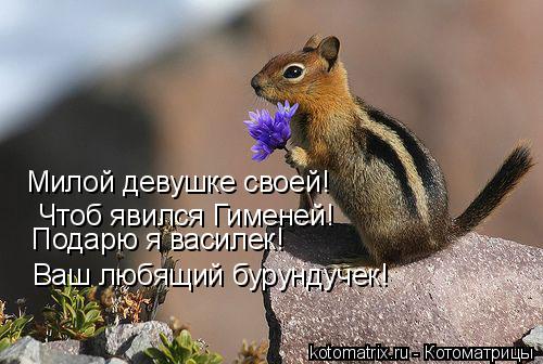 4743317_qX (500x336, 41Kb)