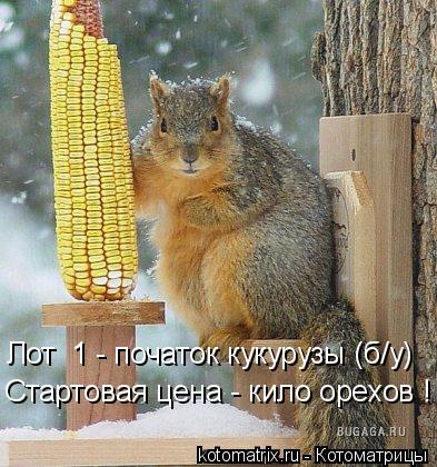 4743317_UA (393x420, 49Kb)