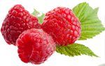 raspberry_PNG5077 (150x95, 32Kb)