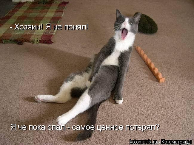 4743317_bU (650x487, 64Kb)