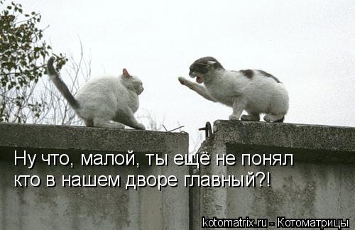 4743317_Jz (500x324, 31Kb)